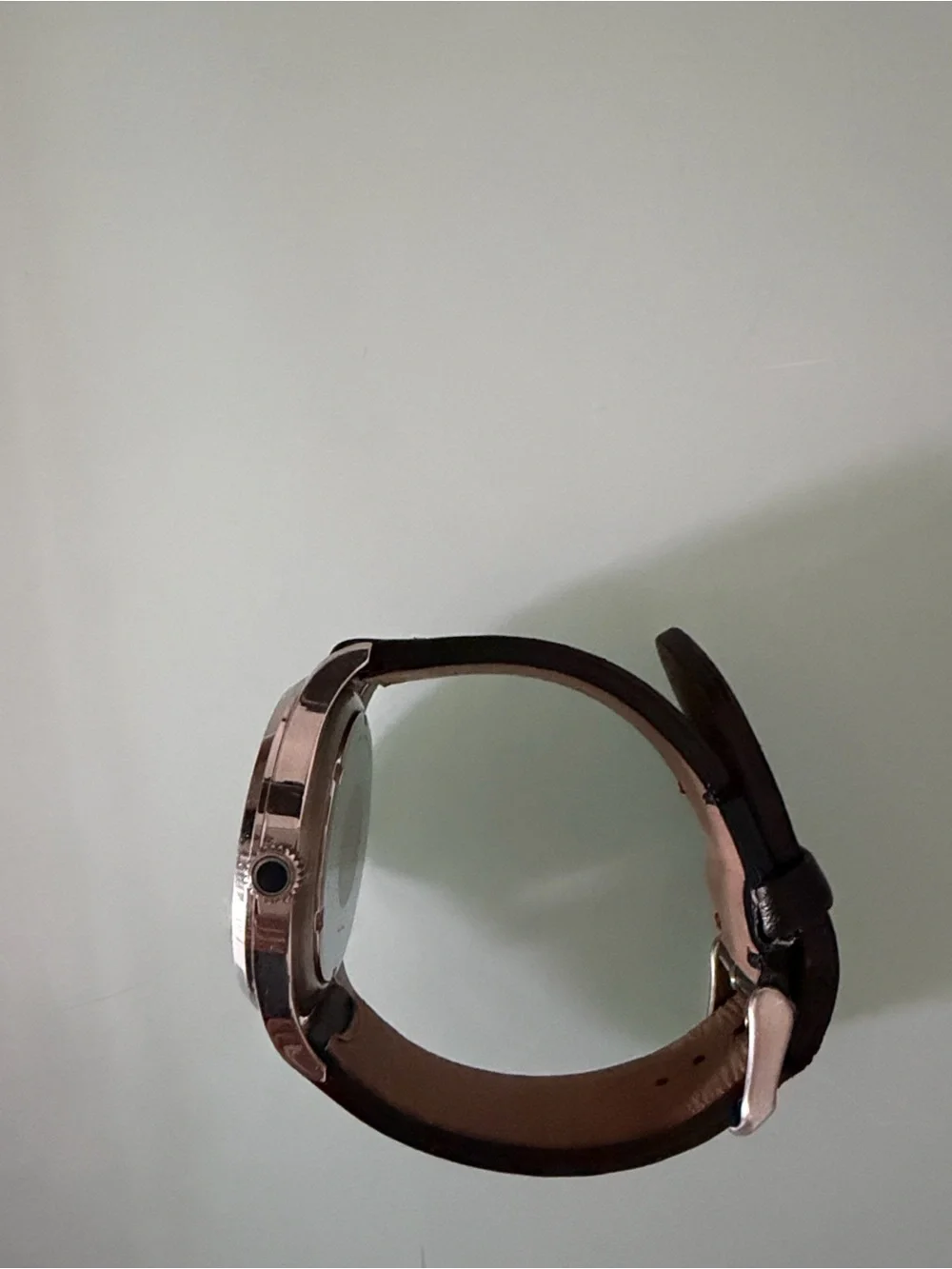 Paul Smith Tempo P10061 Watch